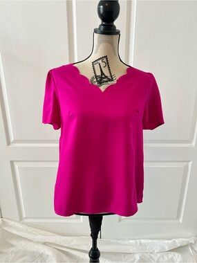 SHEIN Fuchsia Scallop Neck Short Sleeve Blouse